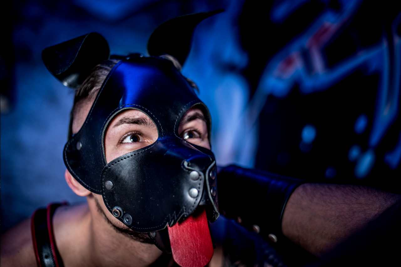 Bdsm puppy play