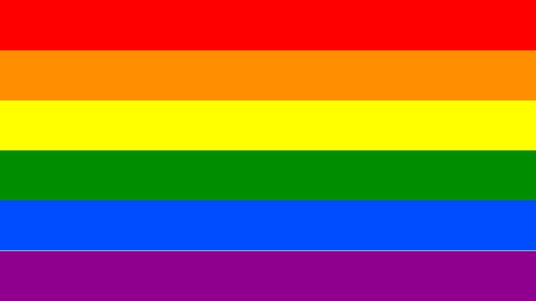 The History of the Pride Flag and Why Change is Important – Mister B Wings